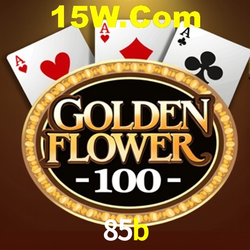 85b.com